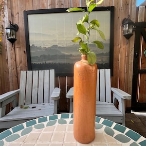 Peut inclure: Une bouteille ancienne orange-brun, de forme cylindrique et au col étroit, contenant une plante verte. La bouteille porte du texte en relief. Elle est posée sur une table en mosaïque, avec deux chaises en bois et une peinture de paysage en arrière-plan.
