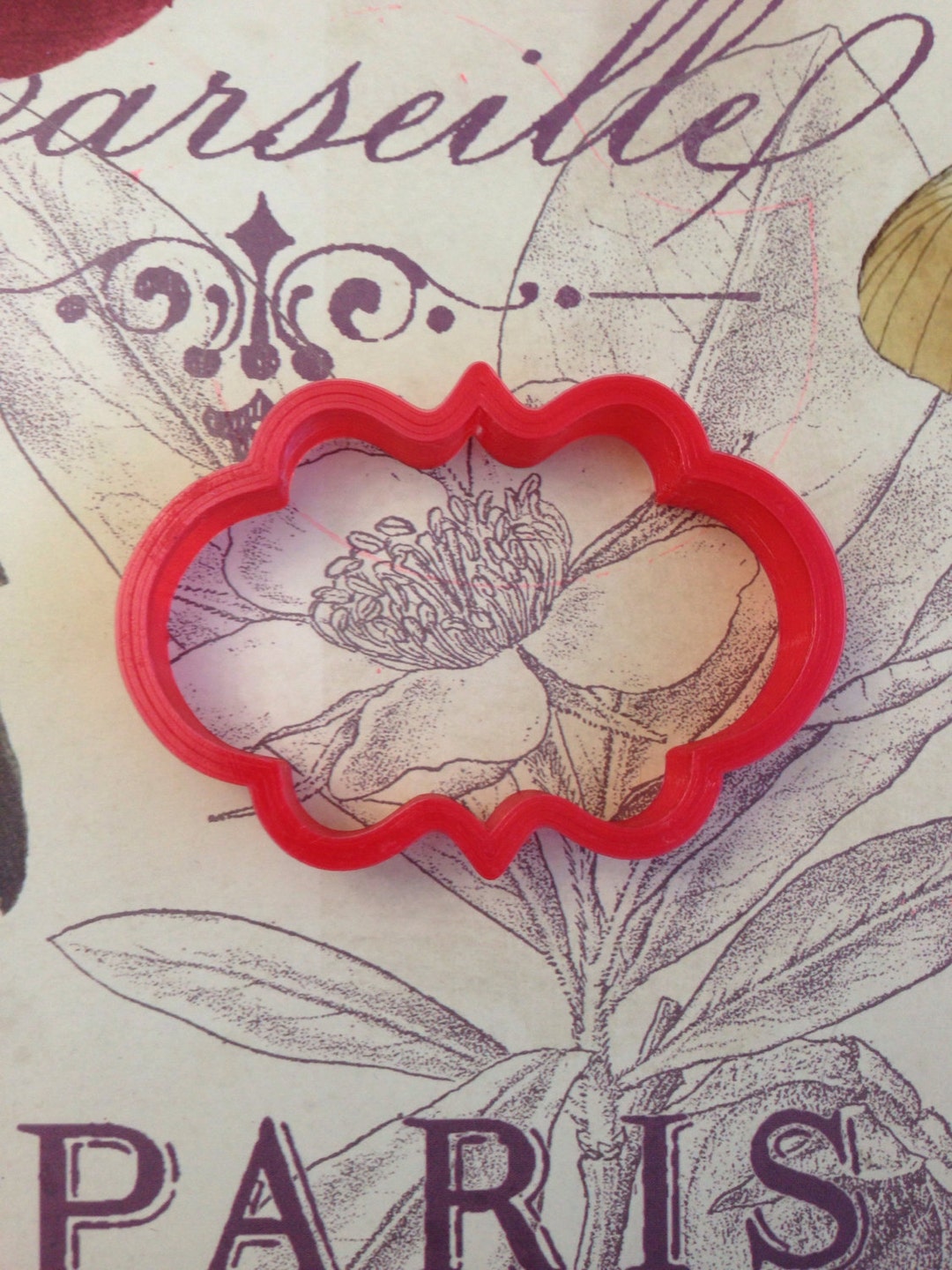 Ghiacciolo morsicato formina biscotti - Cookie cutter