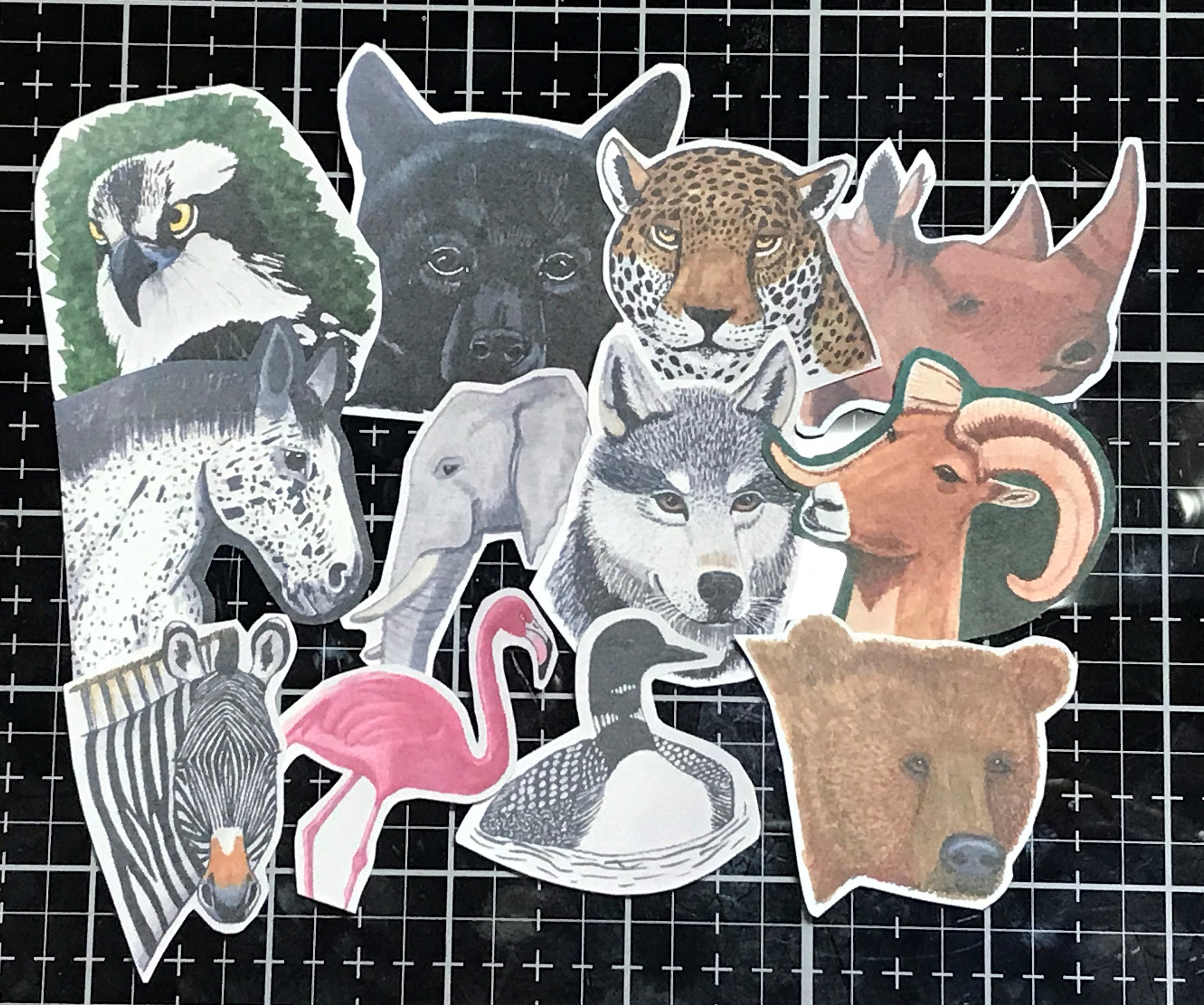 Animal Sticker Pack 1 Etsy