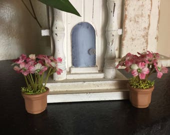 Miniature Flowers, Miniature Potted Plants, Miniature House Plants, Miniature Fairy Garden Plants, Miniature Dollhouse Plants, Dollhouse
