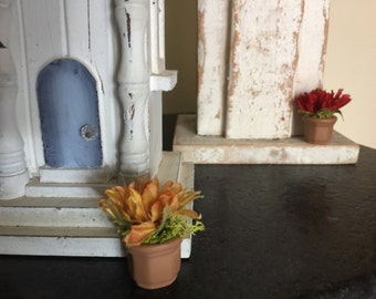 Miniature Flowers, Miniature Potted Plants, Miniature House Plants, Miniature Fairy Garden Plants, Miniature Dollhouse Plants, Dollhouse