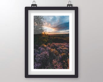 Impresión fotográfica del atardecer en Norland Heather – Fotografía de paisajes