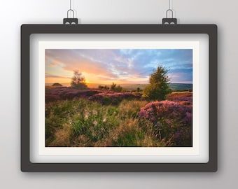Impresión fotográfica de árboles de Norland al atardecer – Fotografía de paisajes