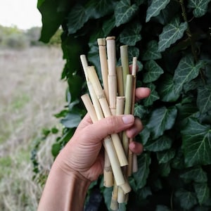 ZOENHOU 300 PCS 15.5 Inch Natural Bamboo Sticks for Crafts, Wooden Craft  Sticks, Bamboo Sticks for Parol Making Molding Building Supplies