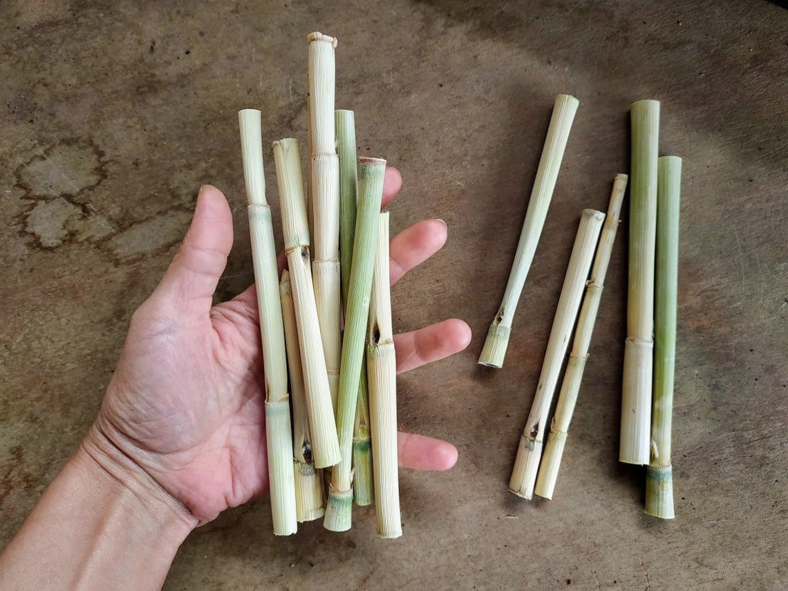 Thin Bamboo Sticks 50 Pcs Pack Natural Craft Material Wood Etsy