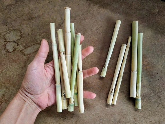 Caña Bambú Fina Natural