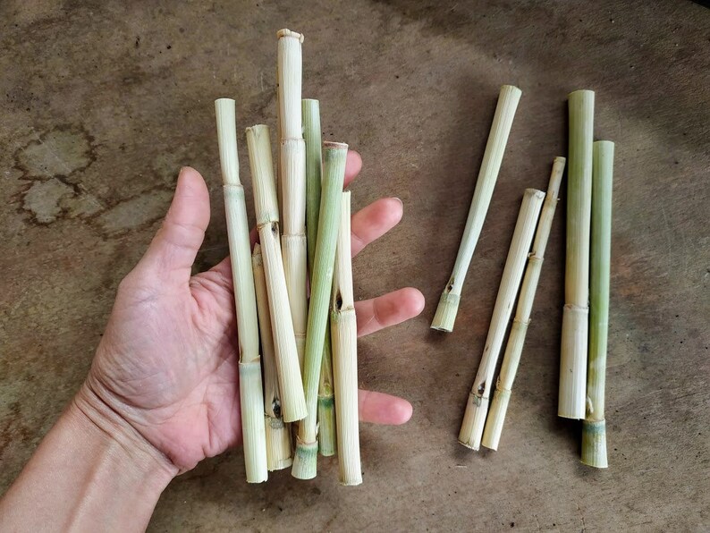 Thin Bamboo Sticks 50 Pcs Pack Natural Craft Material Wood Etsy