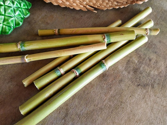 Bamboo DIY Bamboo Sticks Kit Wooden Bamboo Chime Sticks DIY Bamboo Chime  Sticks Bamboo Craft Sticks Natural Bamboo Sticks Green Bamboo 