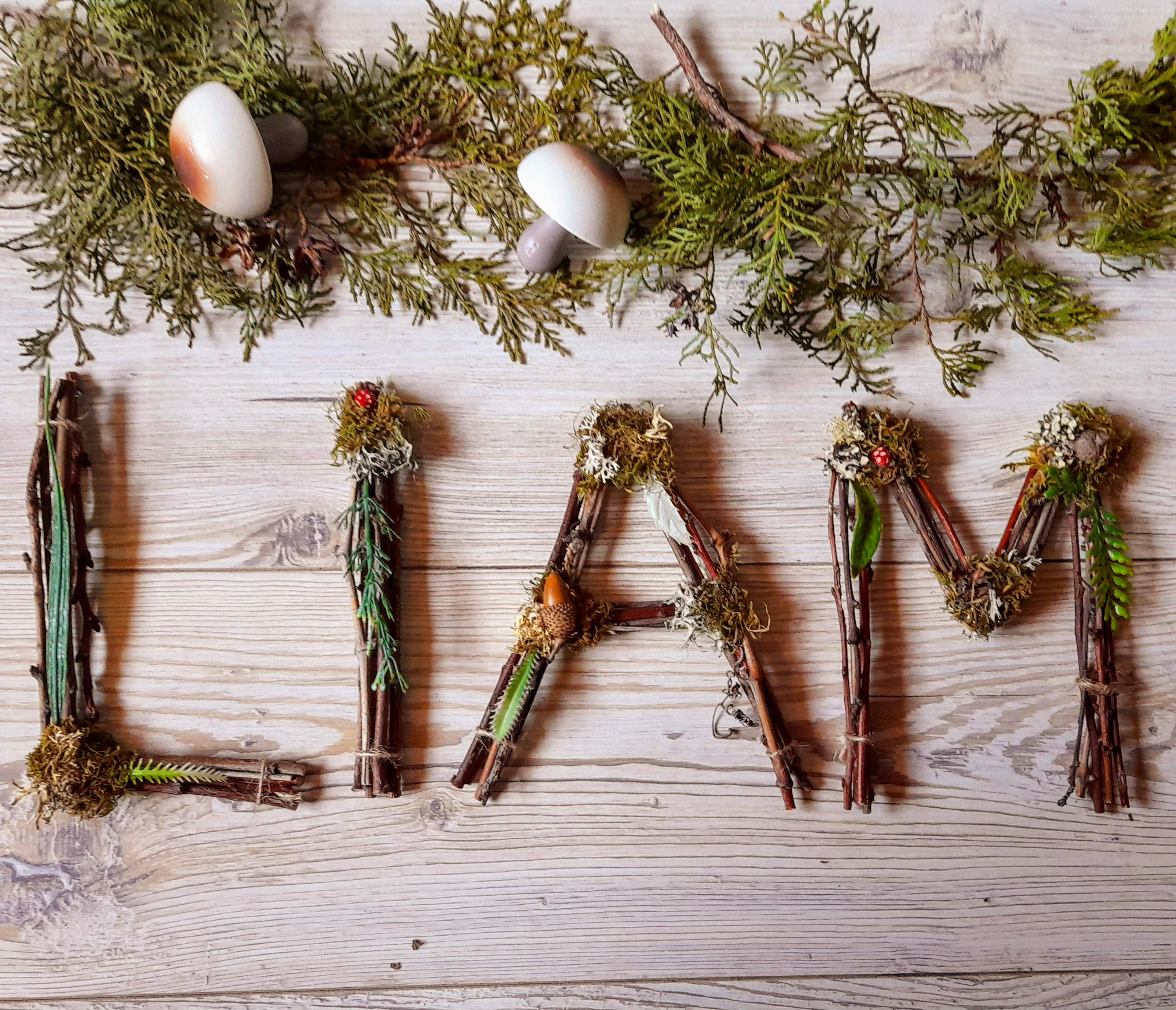 Twig letters 6" personalized boy wall name sign whimsical woodland nursery baby shower gift kids room rustic initial branches moss mushroom