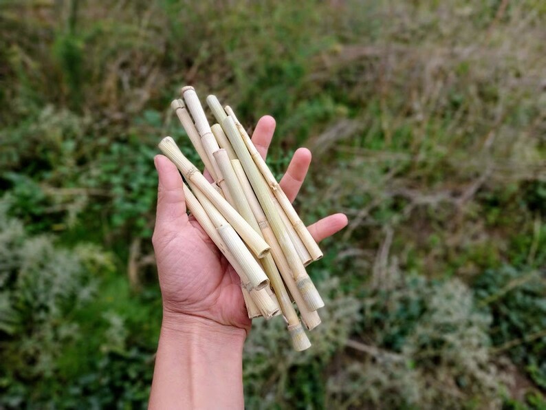 Thin bamboo sticks 50 pcs pack natural craft material wood  