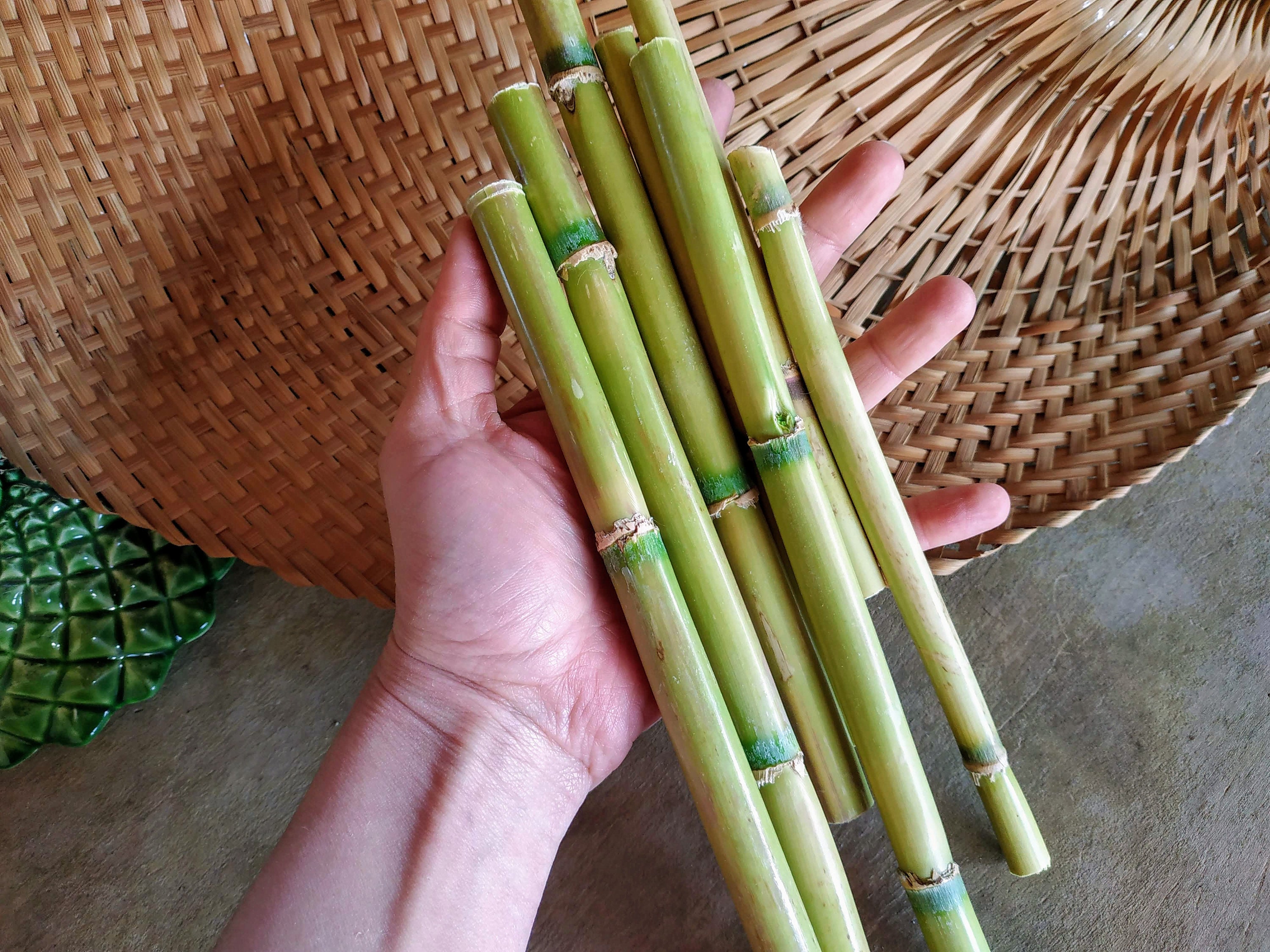 Natural Bamboo Sticks - 100-Pack Bamboo Stakes Craft Supplies, for Crafts and DIY, Natural-Colored Bamboo, 5.2 Inches Long and 0.26-0.37 Inches Thick