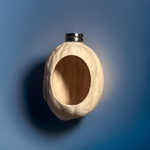 May include: A light brown, hollowed-out nut with a silver ring on top. The nut is sitting on a blue background.