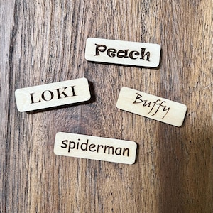 Custom Magnetic Name Plate for Jumping Spider Enclosures – Personalized Tarantula or Spider Habitat Label