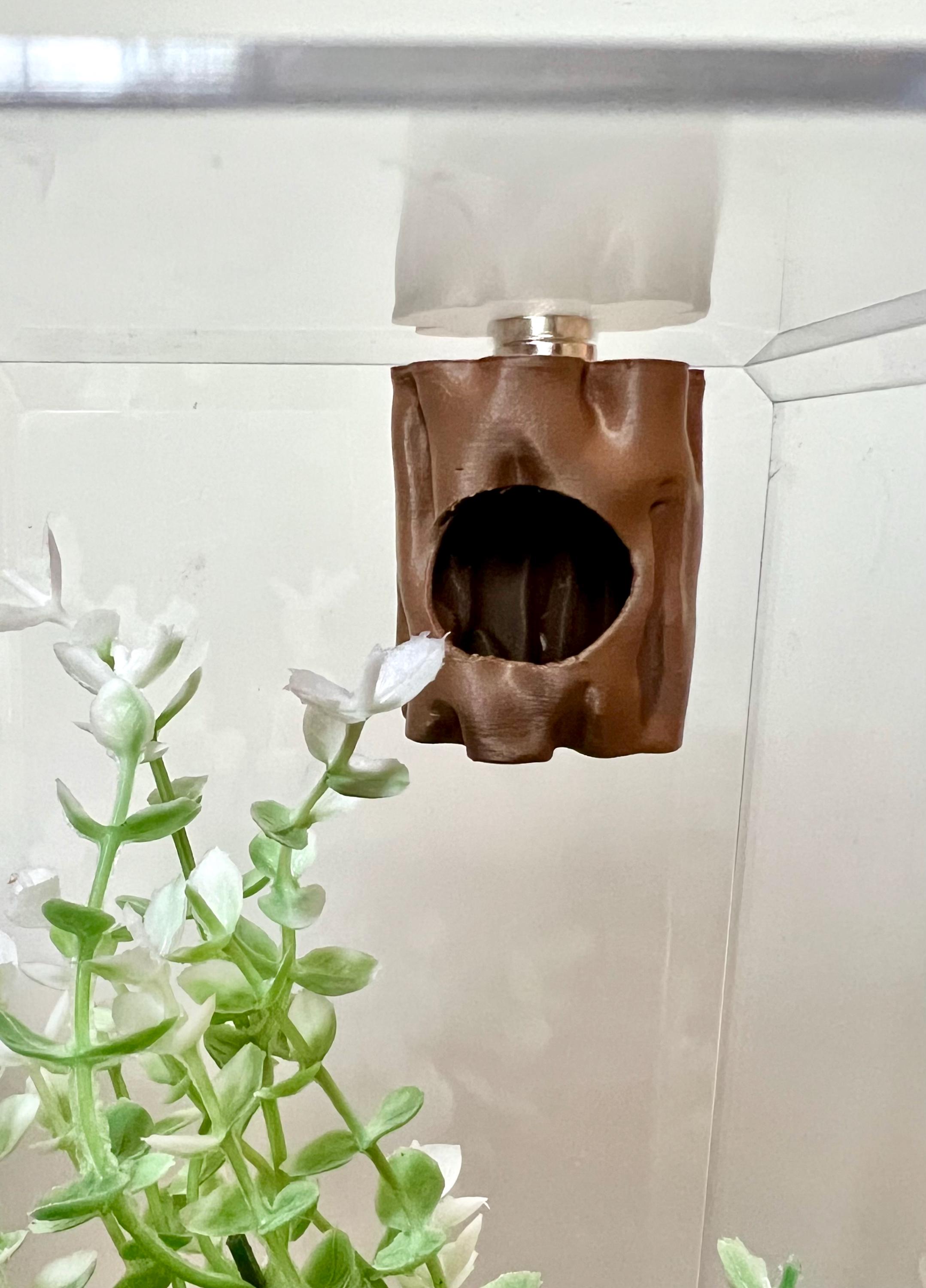 3D Printed Log Hide for Jumping Spiders: Naturalistic Enclosure Decor ...