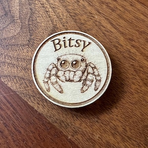 Custom Magnetic Name Plate Tokens for Jumping Spider Enclosures – Personalized Tarantula or Spider Habitat Label – Version 2