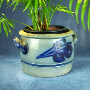 Pode incluir: Um vaso de cerâmica azul e branco com duas alças, com um design floral azul. Uma planta verde está crescendo dentro do vaso.