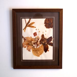 Vintage Framed Dried Flower Wall Art: Pressed Botanical Decor