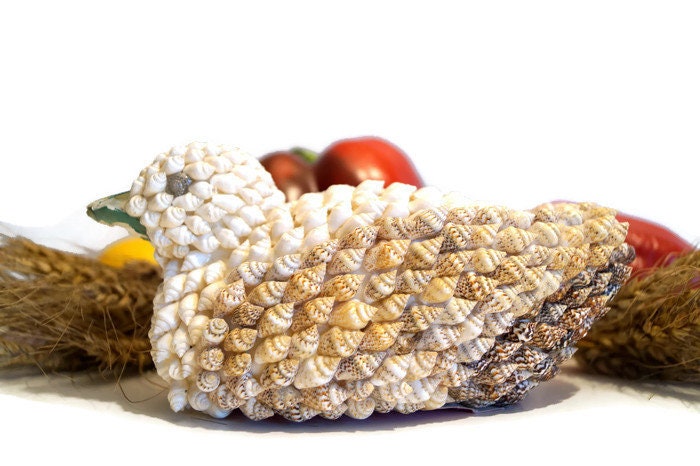 【希少】フィリピン　Philippine 貝殻　　土産 希少】フィリピン Philippine 貝殻 土産 希少】フィリピン