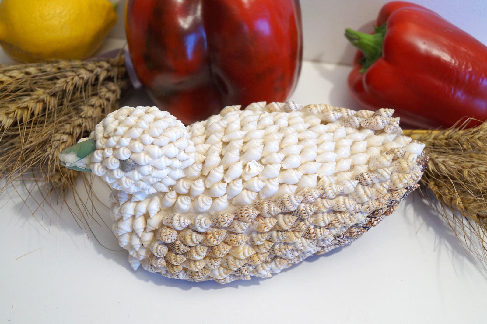 【希少】フィリピン　Philippine 貝殻　　土産 希少】フィリピン Philippine 貝殻 土産 希少】フィリピン