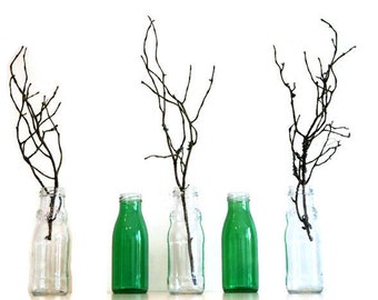Vintage Glass Bottle Vase Set: Rustic Farmhouse Decor