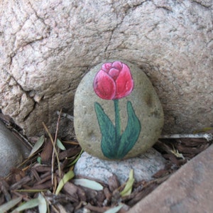 Tulip geschilderd op de rots