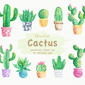 Cactus Clipart, Cacti plant pot invitation wedding rustic nature wood flower PNG scrapbook planner sticker cute illustration