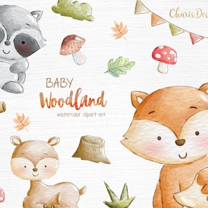 Bebé bosque clipart acuarela clipart vivero bosque lindo bebé ardilla mapache ciervo zorro búho conejito erizo zorrillo castor oso