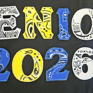May include: Appliqued fabric letters and numbers spelling "SENIOR 2026". The letters and numbers are in blue, white, and yellow with a paisley design. The background is black.