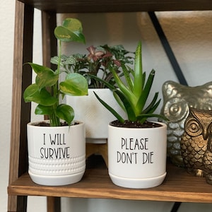 Könnte beinhalten: Zwei weiße Keramik-Blumentöpfe mit schwarzer Beschriftung. Der Topf links sagt "Ich werde überleben" und der Topf rechts sagt "Bitte stirb nicht".