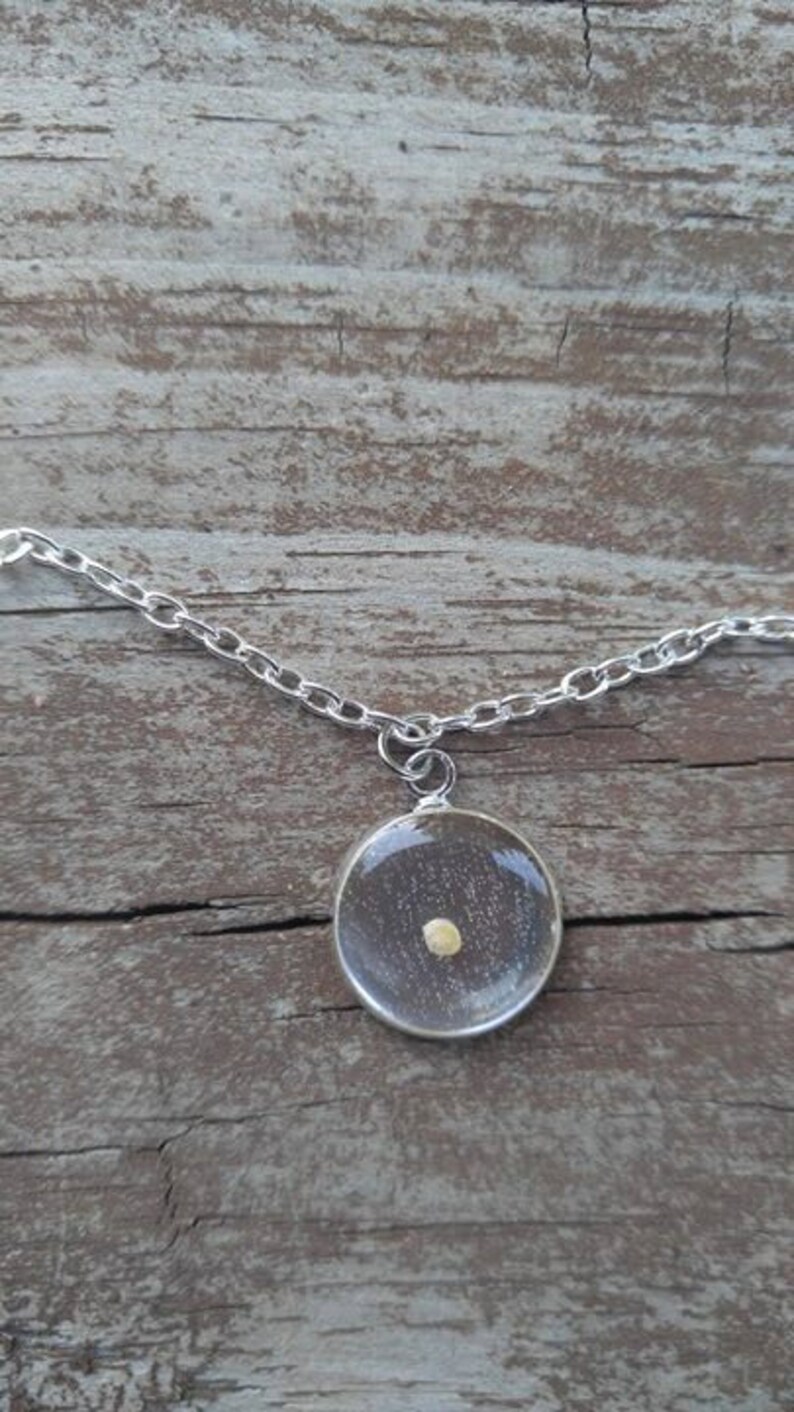 Silver Mustard Seed Charm Bracelet Adjustable Mustard Seed Etsy