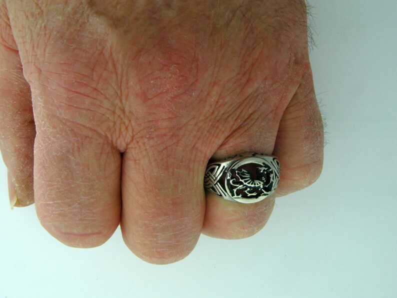 May include: A silver ring with a Celtic knot design and a dragon in the center.