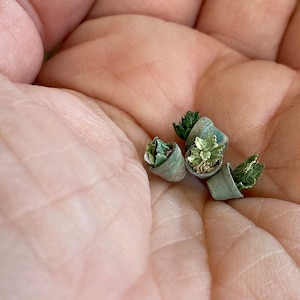 Miniature 1 inch 12 24 half scale plant doll house herb pot terra cotta mini tiny conservatory greenhouse kitchen vintage antique cottage