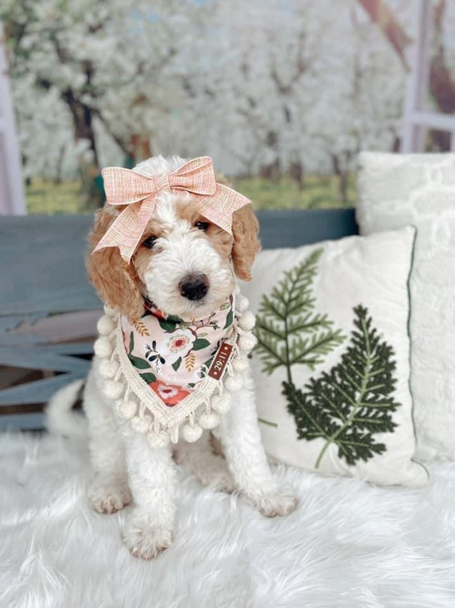 Personalized dog bandanas pink dog bandanas with poms custom etsy