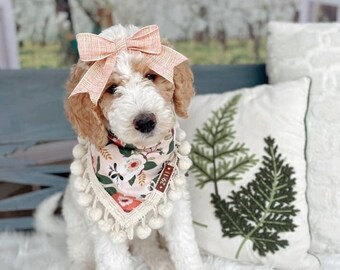 Personalized Dog Bandanas, Pink Dog Bandanas with Poms, Custom Dog Bandanas, Dog Accessories, Petunia Bandana, Matching Gift Sets, Hair Bow