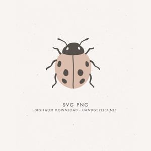 File plotter e laser "COCCINELLA" SVG PNG