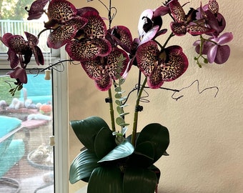 DEEP MAGENTA butterfly Phalaenopsis ‘real touch’ flower arrangement
