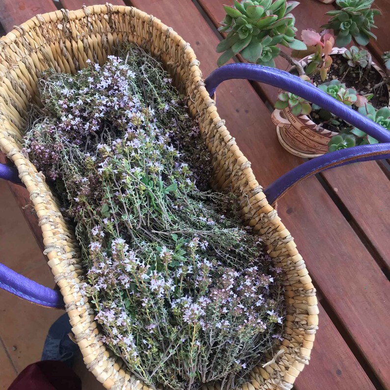 Mediterranean Wild Thyme, 4 Bunches of Spanish Organic Thyme, Thyme