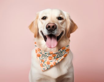 Collier bandana pour animal de compagnie - Creamsicle