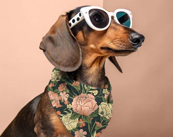 Collier bandana pour animal de compagnie - Rosy Posies