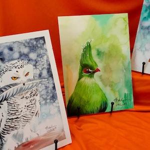 Imágenes de aves en acuarela: impresión artística, postal, original