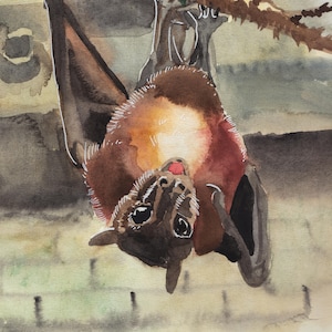 Peinture originale à l'aquarelle "Flying Fox"