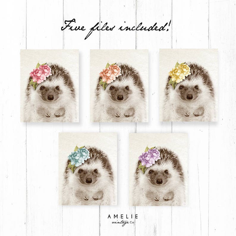 Hedgehog Print Woodland Decor Nursery Animal Wall Art Etsy
