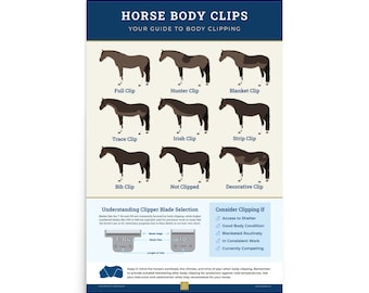 Horse Body Clip Styles Educational Poster