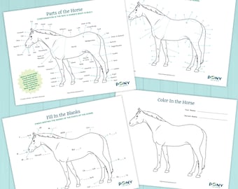 Partes del caballo: Hojas de trabajo imprimibles para niños / Páginas de aprendizaje ecuestre