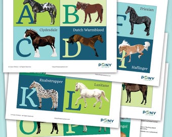 A–Z Horse Breeds Flash Cards – Alphabet Learning for Kids, Equestrian Education Printable