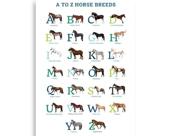 Póster de razas de caballos de la A a la Z: lámina ilustrada del alfabeto para niños, arte mural ecuestre
