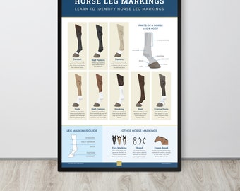 Horse Leg Markings Framed Poster