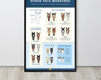 Horse Face Markings Framed Poster