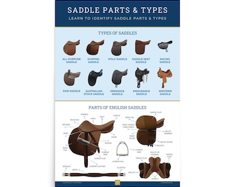 Saddle Types & Parts Poster