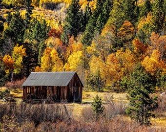 Fall Colors Photo: Autumn, Colorful Trees, Leaves, Scenic Print